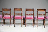 Set of 6 Regency Mahogany Dining Chairs (5 of 13) Set of 6 Regency Mahogany Dining Chairs (5 of 13)