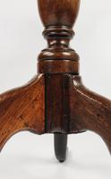 18th Century Elm Tripod Table (10 of 11) 18th Century Elm Tripod Table (10 of 11)