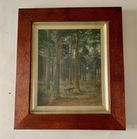 Pair of 19thc Woodland Scenes - signed Macdonald (4 of 5) Pair of 19thc Woodland Scenes - signed Macdonald (4 of 5)