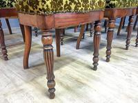 12 Walnut Irish Dining Chairs (2 of 7) 12 Walnut Irish Dining Chairs (2 of 7)