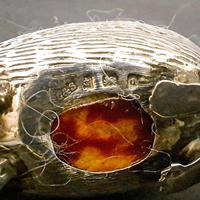Edwardian Silver Hedgehog Pin Cushion (3 of 6) Edwardian Silver Hedgehog Pin Cushion (3 of 6)
