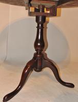 Georgian Oak Birdcage Tripod Table (4 of 6) Georgian Oak Birdcage Tripod Table (4 of 6)