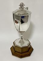 Large Antique Solid Silver Twin Handled Apple Trophy Cup (4 of 13) Large Antique Solid Silver Twin Handled Apple Trophy Cup (4 of 13)