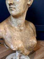 Item Additional Image