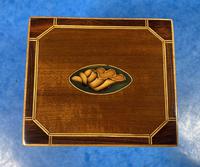 Georgian Single Mahogany Tea Caddy with Inlaid Shell (3 of 12) Georgian Single Mahogany Tea Caddy with Inlaid Shell (3 of 12)