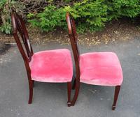 1960s Pair of Mahogany Wheatcheaf Chairs Pink Upholstery (2 of 3) 1960s Pair of Mahogany Wheatcheaf Chairs Pink Upholstery (2 of 3)