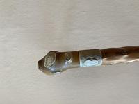 19th Century Horn Handled Walking Stick with White Metal Mounts & Collar (9 of 9) 19th Century Horn Handled Walking Stick with White Metal Mounts & Collar (9 of 9)