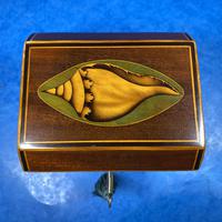 Georgian Mahogany Shell Inlaid Single Tea Caddy (13 of 15) Georgian Mahogany Shell Inlaid Single Tea Caddy (13 of 15)