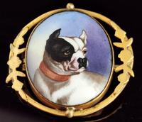 Victorian Enamel Bulldog Brooch (3 of 11) Victorian Enamel Bulldog Brooch (3 of 11)