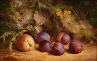 Oil Painting by William Hughes "Victoria Plums" (2 of 5) Oil Painting by William Hughes "Victoria Plums" (2 of 5)