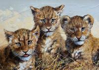 Exceptional 'pride Of Lion Cubs' Large Wildlife Oil Painting By 'silvia Duran' (5 of 12) Exceptional 'pride Of Lion Cubs' Large Wildlife Oil Painting By 'silvia Duran' (5 of 12)