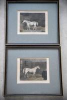 Pair Antique Race Horse Engravings (6 of 11) Pair Antique Race Horse Engravings (6 of 11)