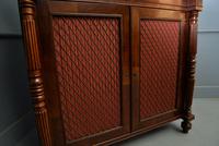 Fine Regency Mahogany Chiffonier Side Cabinet (18 of 18) Fine Regency Mahogany Chiffonier Side Cabinet (18 of 18)