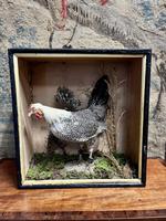 Item Additional Image