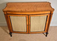 George III Satinwood Chiffonier Side Cabinet (8 of 9) George III Satinwood Chiffonier Side Cabinet (8 of 9)