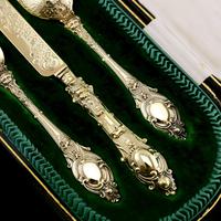 Antique Victorian Solid Silver Gilt Traveling / Christening Cutlery Set - Martin Hall & Co. 1872 (14 of 22) Antique Victorian Solid Silver Gilt Traveling / Christening Cutlery Set - Martin Hall & Co. 1872 (14 of 22)