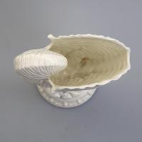 Royal Worcester : Novelty Blanc de Chine Type Porcelain Nautilus Shell Porcelain Vase C.1959 (7 of 9) Royal Worcester : Novelty Blanc de Chine Type Porcelain Nautilus Shell Porcelain Vase C.1959 (7 of 9)