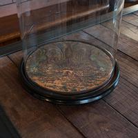 Antique Taxidermy Dome, English, Glass, Collectible, Display Showcase, Edwardian (3 of 7) Antique Taxidermy Dome, English, Glass, Collectible, Display Showcase, Edwardian (3 of 7)
