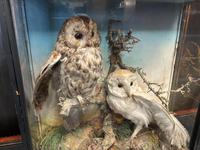 Item Additional Image