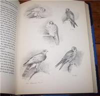 1951 Shoots & Shooting by E. C. Keith, 1st Edition, Signed by Illustrator (4 of 4) 1951 Shoots & Shooting by E. C. Keith, 1st Edition, Signed by Illustrator (4 of 4)