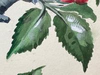 Watercolour "Chirping Song Thrush Bird" Signed Charles Frederick Tunnicliffe OBE RA 1901-1979 (20 of 35) Watercolour "Chirping Song Thrush Bird" Signed Charles Frederick Tunnicliffe OBE RA 1901-1979 (20 of 35)