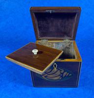 Georgian Mahogany Shell Inlaid Single Tea Caddy (8 of 15) Georgian Mahogany Shell Inlaid Single Tea Caddy (8 of 15)