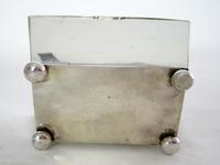 Georgian Style Sarcophagus Shaped Silver Tea Caddy (4 of 5) Georgian Style Sarcophagus Shaped Silver Tea Caddy (4 of 5)
