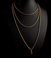 Victorian Snake Link Guard Chain, Muff Chain Necklace (4 of 12) Victorian Snake Link Guard Chain, Muff Chain Necklace (4 of 12)