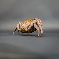 Meiji Bronze Articulated Crab (8 of 13) Meiji Bronze Articulated Crab (8 of 13)