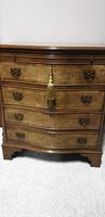 Burr Walnut Serpentine Shaped Chest of Drawers (9 of 9) Burr Walnut Serpentine Shaped Chest of Drawers (9 of 9)
