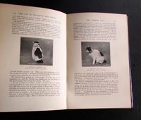 The Cat in the Mysteries of Religion & Magic by M. Oldfield Howey. 1930, 1st Edition (3 of 5) The Cat in the Mysteries of Religion & Magic by M. Oldfield Howey. 1930, 1st Edition (3 of 5)
