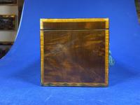 18th Century Mahogany Twin Tea Caddy with Shell Inlay (11 of 17) 18th Century Mahogany Twin Tea Caddy with Shell Inlay (11 of 17)