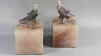 Art deco fox cold painted budgerigars marble book ends (7 of 13) Art deco fox cold painted budgerigars marble book ends (7 of 13)
