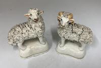 Antique Pair of Staffordshire Pottery Sheep c.1830 (2 of 7) Antique Pair of Staffordshire Pottery Sheep c.1830 (2 of 7)