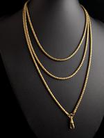 Victorian Snake Link Guard Chain, Muff Chain Necklace (7 of 12) Victorian Snake Link Guard Chain, Muff Chain Necklace (7 of 12)