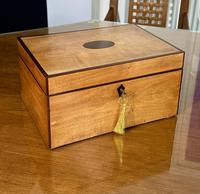Item Additional Image