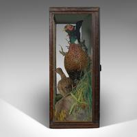 Antique Taxidermy Scene, Birds, Pheasant, Blackbird, Display Case, Victorian (3 of 10) Antique Taxidermy Scene, Birds, Pheasant, Blackbird, Display Case, Victorian (3 of 10)