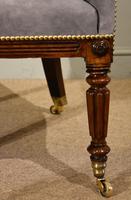 Regency Rosewood Tub Armchair Reupholstered (2 of 8) Regency Rosewood Tub Armchair Reupholstered (2 of 8)