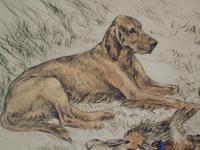 Hunting Dogs Field Spaniels G Vernon Stokes Signed Limited Edition (3 of 6) Hunting Dogs Field Spaniels G Vernon Stokes Signed Limited Edition (3 of 6)
