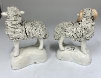 Antique Pair of Staffordshire Pottery Sheep c.1830 (4 of 7) Antique Pair of Staffordshire Pottery Sheep c.1830 (4 of 7)