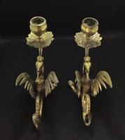 Pair of Brass Antique Dragon/Griffin Candlesticks. (4 of 5) Pair of Brass Antique Dragon/Griffin Candlesticks. (4 of 5)