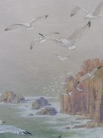 Watercolour Seagull seascape List Artist Noel Hubert Hopking (7 of 10) Watercolour Seagull seascape List Artist Noel Hubert Hopking (7 of 10)