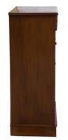 Victorian Mahogany Wellington Chest (5 of 8) Victorian Mahogany Wellington Chest (5 of 8)