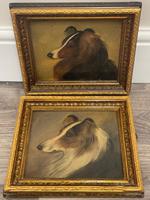 Pair of Scottish 19th Century Oil Paintings Rough Collie Dog Portraits After George Washington Brownlow (5 of 49) Pair of Scottish 19th Century Oil Paintings Rough Collie Dog Portraits After George Washington Brownlow (5 of 49)
