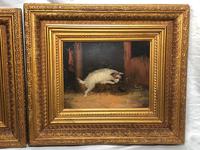 Pair of Victorian 19th Century Oil Paintings Terrier Dogs Ratting Signed J Langlois (3 of 35) Pair of Victorian 19th Century Oil Paintings Terrier Dogs Ratting Signed J Langlois (3 of 35)