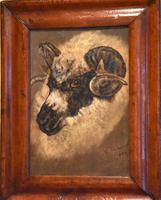 Sheep Portrait Oil Painting by H.Windred (4 of 7) Sheep Portrait Oil Painting by H.Windred (4 of 7)