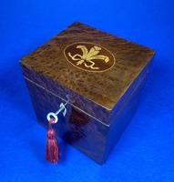 Late Victorian Burr Yew Single Tea Caddy (31 of 32) Late Victorian Burr Yew Single Tea Caddy (31 of 32)