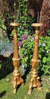 Handsome Pair of 18th Century Giltwood Alter Sticks (2 of 4) Handsome Pair of 18th Century Giltwood Alter Sticks (2 of 4)