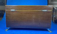 Regency Mahogany Twin Lidded Tea Caddy (14 of 17) Regency Mahogany Twin Lidded Tea Caddy (14 of 17)