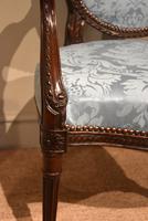 George III Mahogany Oval Back Armchair (6 of 6) George III Mahogany Oval Back Armchair (6 of 6)